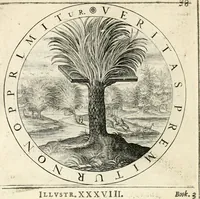 Picture 146 of 214 from A collection of emblemes, ancient and moderne : quickened vvith metricall illustrations, both morall and divine : and disposed into lotteries, that instruction and good counsell may bee furthered by an honest and pleasant recreation (1635), leaf 199