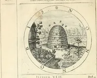 Picture 202 of 214 from A collection of emblemes, ancient and moderne : quickened vvith metricall illustrations, both morall and divine : and disposed into lotteries, that instruction and good counsell may bee furthered by an honest and pleasant recreation (1635), leaf 271