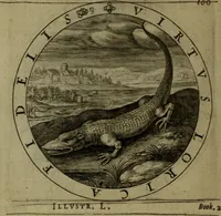 An illustration from A collection of emblemes, ancient and moderne : quickened vvith metricall illvstrations, both morall and divine, and disposed into lotteries, that instruction and good counsell may bee furthered by an honest and pleasant recreation (1635)