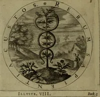 An illustration from A collection of emblemes, ancient and moderne : quickened vvith metricall illvstrations, both morall and divine, and disposed into lotteries, that instruction and good counsell may bee furthered by an honest and pleasant recreation (1635)