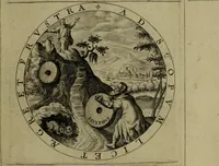 An illustration from A collection of emblemes, ancient and moderne : quickened vvith metricall illvstrations, both morall and divine, and disposed into lotteries, that instruction and good counsell may bee furthered by an honest and pleasant recreation (1635)