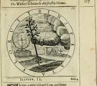 Picture 168 of 213 from A collection of emblemes, ancient and moderne : quickened vvith metricall illustrations, both morall and divine : and disposed into lotteries ... (1635), leaf 240
