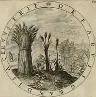Picture 55 of 213 from A collection of emblemes, ancient and moderne : quickened vvith metricall illustrations, both morall and divine : and disposed into lotteries ... (1635), leaf 77