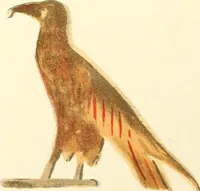 An illustration from A collection of hieroglyphs : a contribution to the history of Egyptian writing (1898)