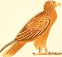 An illustration from A collection of hieroglyphs : a contribution to the history of Egyptian writing (1898)