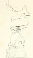 An illustration from Collection of the most remarkable monuments of the National Museum; (1873)