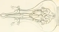 An illustration from Collection of the most remarkable monuments of the National Museum; (1873)