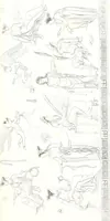 An illustration from Collection of the most remarkable monuments of the National Museum; (1873)