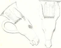 An illustration from Collection of the most remarkable monuments of the National Museum; (1873)