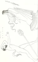 An illustration from Collection of the most remarkable monuments of the National Museum; (1873)