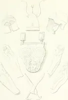 An illustration from Collection of the most remarkable monuments of the National Museum (1869)