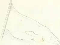 An illustration from Collection of the most remarkable monuments of the National Museum (1869)