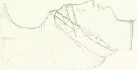 An illustration from Collection of the most remarkable monuments of the National Museum (1869)