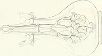An illustration from Collection of the most remarkable monuments of the National Museum (1869)