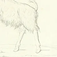 An illustration from Collection of the most remarkable monuments of the National Museum (1869)