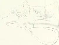 An illustration from Collection of the most remarkable monuments of the National Museum (1869)