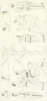An illustration from Collection of the most remarkable monuments of the National Museum (1869)