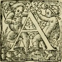An illustration from Collection ov recveil de divers traictez mathematiqves. A sçauoir; d'arithmetiqve, d'algebre, de la solution de diuers problemes & questions, tant geometriques, qu'astronomiques. Comme aussi de plusieurs moyens pour mesurer toutes sortes de quantitez, soient lignes, superficies & corps. Item, de la sphere du monde, auec l'vsage & pratique tant de l'astrolabe, du quarré geometrique, & des globes, que du compas de proportion: et encore de la construction des fortifications practiquées aux Pays Bas (1621)