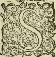 An illustration from Collection ov recveil de divers traictez mathematiqves. A sçauoir; d'arithmetiqve, d'algebre, de la solution de diuers problemes & questions, tant geometriques, qu'astronomiques. Comme aussi de plusieurs moyens pour mesurer toutes sortes de quantitez, soient lignes, superficies & corps. Item, de la sphere du monde, auec l'vsage & pratique tant de l'astrolabe, du quarré geometrique, & des globes, que du compas de proportion: et encore de la construction des fortifications practiquées aux Pays Bas (1621)