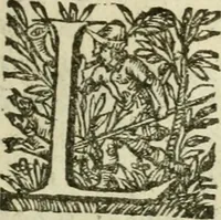 An illustration from Collection ov recveil de divers traictez mathematiqves. A sçauoir; d'arithmetiqve, d'algebre, de la solution de diuers problemes & questions, tant geometriques, qu'astronomiques. Comme aussi de plusieurs moyens pour mesurer toutes sortes de quantitez, soient lignes, superficies & corps. Item, de la sphere du monde, auec l'vsage & pratique tant de l'astrolabe, du quarré geometrique, & des globes, que du compas de proportion: et encore de la construction des fortifications practiquées aux Pays Bas (1621)