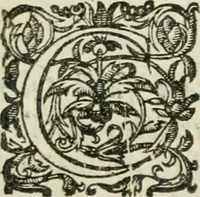 An illustration from Collection ov recveil de divers traictez mathematiqves. A sçauoir; d'arithmetiqve, d'algebre, de la solution de diuers problemes & questions, tant geometriques, qu'astronomiques. Comme aussi de plusieurs moyens pour mesurer toutes sortes de quantitez, soient lignes, superficies & corps. Item, de la sphere du monde, auec l'vsage & pratique tant de l'astrolabe, du quarré geometrique, & des globes, que du compas de proportion: et encore de la construction des fortifications practiquées aux Pays Bas (1621)