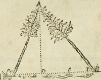 An illustration from Collection ov recveil de divers traictez mathematiqves. A sçauoir; d'arithmetiqve, d'algebre, de la solution de diuers problemes & questions, tant geometriques, qu'astronomiques. Comme aussi de plusieurs moyens pour mesurer toutes sortes de quantitez, soient lignes, superficies & corps. Item, de la sphere du monde, auec l'vsage & pratique tant de l'astrolabe, du quarré geometrique, & des globes, que du compas de proportion: et encore de la construction des fortifications practiquées aux Pays Bas (1621)