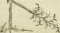 An illustration from Collection ov recveil de divers traictez mathematiqves. A sçauoir; d'arithmetiqve, d'algebre, de la solution de diuers problemes & questions, tant geometriques, qu'astronomiques. Comme aussi de plusieurs moyens pour mesurer toutes sortes de quantitez, soient lignes, superficies & corps. Item, de la sphere du monde, auec l'vsage & pratique tant de l'astrolabe, du quarré geometrique, & des globes, que du compas de proportion: et encore de la construction des fortifications practiquées aux Pays Bas (1621)