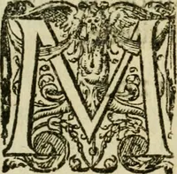 An illustration from Collection ov recveil de divers traictez mathematiqves. A sçauoir; d'arithmetiqve, d'algebre, de la solution de diuers problemes & questions, tant geometriques, qu'astronomiques. Comme aussi de plusieurs moyens pour mesurer toutes sortes de quantitez, soient lignes, superficies & corps. Item, de la sphere du monde, auec l'vsage & pratique tant de l'astrolabe, du quarré geometrique, & des globes, que du compas de proportion: et encore de la construction des fortifications practiquées aux Pays Bas (1621)