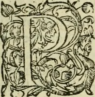 An illustration from Collection ov recveil de divers traictez mathematiqves. A sçauoir; d'arithmetiqve, d'algebre, de la solution de diuers problemes & questions, tant geometriques, qu'astronomiques. Comme aussi de plusieurs moyens pour mesurer toutes sortes de quantitez, soient lignes, superficies & corps. Item, de la sphere du monde, auec l'vsage & pratique tant de l'astrolabe, du quarré geometrique, & des globes, que du compas de proportion: et encore de la construction des fortifications practiquées aux Pays Bas (1621)