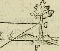 An illustration from Collection ov recveil de divers traictez mathematiqves. A sçauoir; d'arithmetiqve, d'algebre, de la solution de diuers problemes & questions, tant geometriques, qu'astronomiques. Comme aussi de plusieurs moyens pour mesurer toutes sortes de quantitez, soient lignes, superficies & corps. Item, de la sphere du monde, auec l'vsage & pratique tant de l'astrolabe, du quarré geometrique, & des globes, que du compas de proportion: et encore de la construction des fortifications practiquées aux Pays Bas (1621)