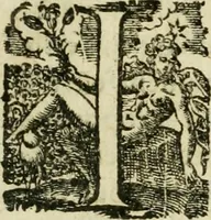 An illustration from Collection ov recveil de divers traictez mathematiqves. A sçauoir; d'arithmetiqve, d'algebre, de la solution de diuers problemes & questions, tant geometriques, qu'astronomiques. Comme aussi de plusieurs moyens pour mesurer toutes sortes de quantitez, soient lignes, superficies & corps. Item, de la sphere du monde, auec l'vsage & pratique tant de l'astrolabe, du quarré geometrique, & des globes, que du compas de proportion: et encore de la construction des fortifications practiquées aux Pays Bas (1621)
