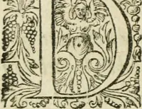 An illustration from Collection ov recveil de divers traictez mathematiqves. A sçauoir; d'arithmetiqve, d'algebre, de la solution de diuers problemes & questions, tant geometriques, qu'astronomiques. Comme aussi de plusieurs moyens pour mesurer toutes sortes de quantitez, soient lignes, superficies & corps. Item, de la sphere du monde, auec l'vsage & pratique tant de l'astrolabe, du quarré geometrique, & des globes, que du compas de proportion: et encore de la construction des fortifications practiquées aux Pays Bas (1621)