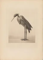 Picture 4 of 7 from Collection S. Bing. : Objets d'art et peintures du Japon et de la Chine dont la vente aura lieu du lundi 7 au samedi 12 mai 1906 inclus dans les galeries de MM. Durand-Ruel (1906), leaf 33
