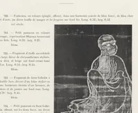 Picture 2 of 4 from Collection S. Bing. : Objets d'art et peintures du Japon et de la Chine dont la vente aura lieu du lundi 7 au samedi 12 mai 1906 inclus dans les galeries de MM. Durand-Ruel (1906), leaf 47