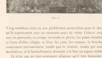 Picture 3 of 11 from Les Collections de M. Léonce Rosenberg (1911), leaf 12