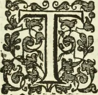 An illustration from Collections of travels through Turkey into Persia, and the East-Indies : Giving an account of the present state of those countries ... (1684)