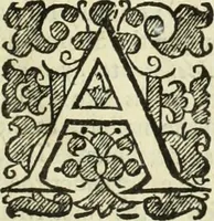 Picture 3 of 80 from Collections of travels through Turkey into Persia, and the East-Indies : Giving an account of the present state of those countries ... (1684), leaf 24