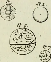 Picture 25 of 80 from Collections of travels through Turkey into Persia, and the East-Indies : Giving an account of the present state of those countries ... (1684), leaf 305