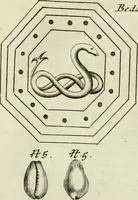 Picture 27 of 80 from Collections of travels through Turkey into Persia, and the East-Indies : Giving an account of the present state of those countries ... (1684), leaf 309