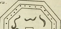 An illustration from Collections of travels through Turkey into Persia, and the East-Indies : Giving an account of the present state of those countries ... (1684)