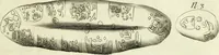 Picture 36 of 80 from Collections of travels through Turkey into Persia, and the East-Indies : Giving an account of the present state of those countries ... (1684), leaf 318