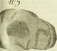 Picture 49 of 80 from Collections of travels through Turkey into Persia, and the East-Indies : Giving an account of the present state of those countries ... (1684), leaf 470