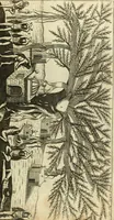 An illustration from Collections of travels through Turkey into Persia, and the East-Indies : Giving an account of the present state of those countries ... (1684)