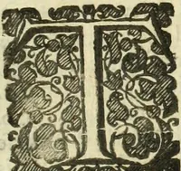 An illustration from Collections of travels through Turkey into Persia, and the East-Indies : Giving an account of the present state of those countries ... (1684)
