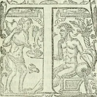 Picture 62 of 80 from Collections of travels through Turkey into Persia, and the East-Indies : Giving an account of the present state of those countries ... (1684), leaf 704