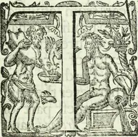 Picture 67 of 80 from Collections of travels through Turkey into Persia, and the East-Indies : Giving an account of the present state of those countries ... (1684), leaf 772