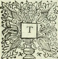 An illustration from Collections of travels through Turkey into Persia, and the East-Indies : Giving an account of the present state of those countries ... (1684)
