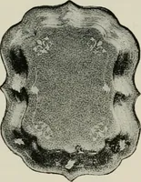 Picture 15 of 141 from Collector's luck; or, A repository of pleasant and profitable discourses descriptive of the household furniture and ornaments of olden time.. (1919), leaf 45