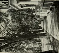 An illustration from The colonial architecture of Salem (1919)