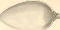 An illustration from The colonial book .. (1908)